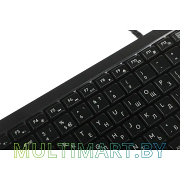 Комплект клавиатура + мышь A4Tech Fstyler F1512 (черный) картинка 12